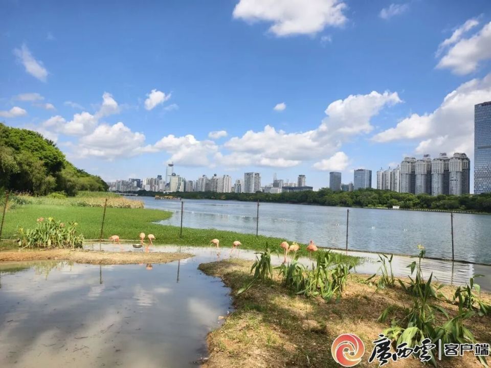 一名年轻的, xrJbx, 南湖水域已 一名年轻的, xrJbx, 南湖水域已